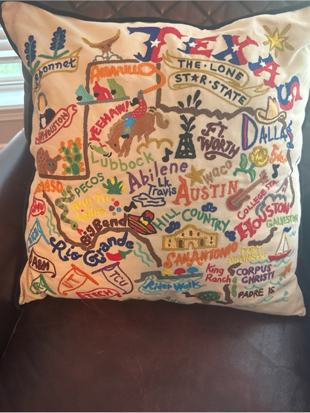 Catstudio Geography Collection Texas State Hand Embroidered 20" Pillow NWT